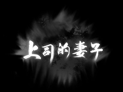 上司的妻子 - 已完结 [PDF/151MB]