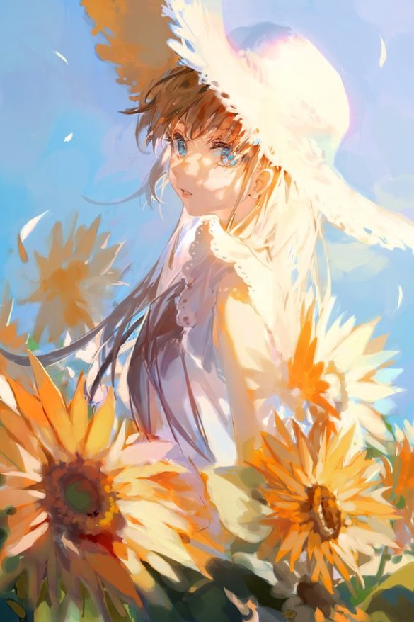 q弹的一朵菊 - [12A/256MB]