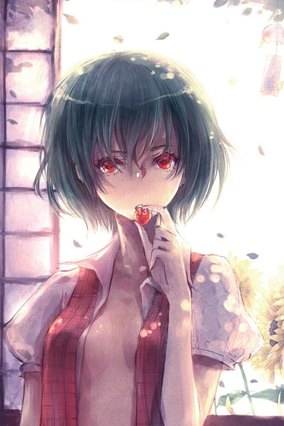 pixiv日榜[100P127M]