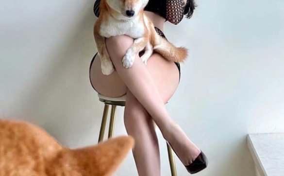 艾拉·isla–微密圈系列图片&视频[31v＋744p+4.55G]