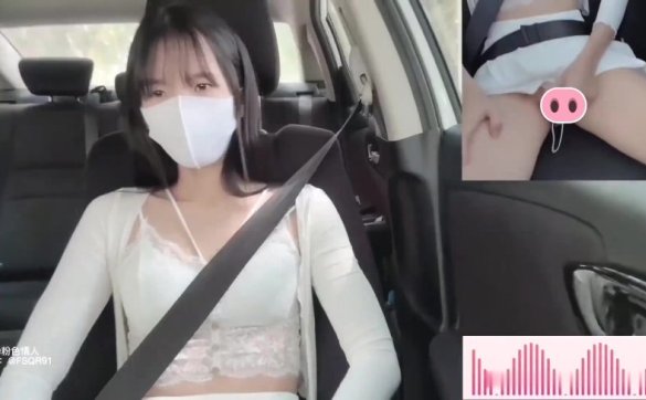 粉色情人-车震[1V708M]