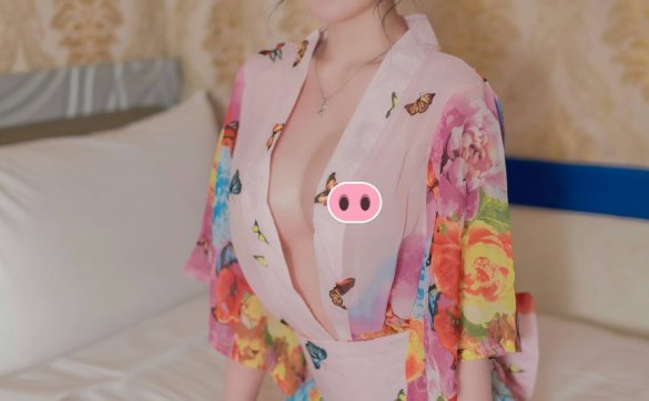 璃奈酱 - 日系风情旅馆美人的邂逅[108P1V1.05G]