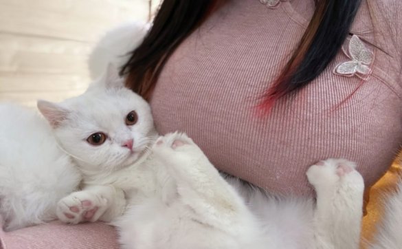 米饼Misa - 爱发电图[273P448MB]